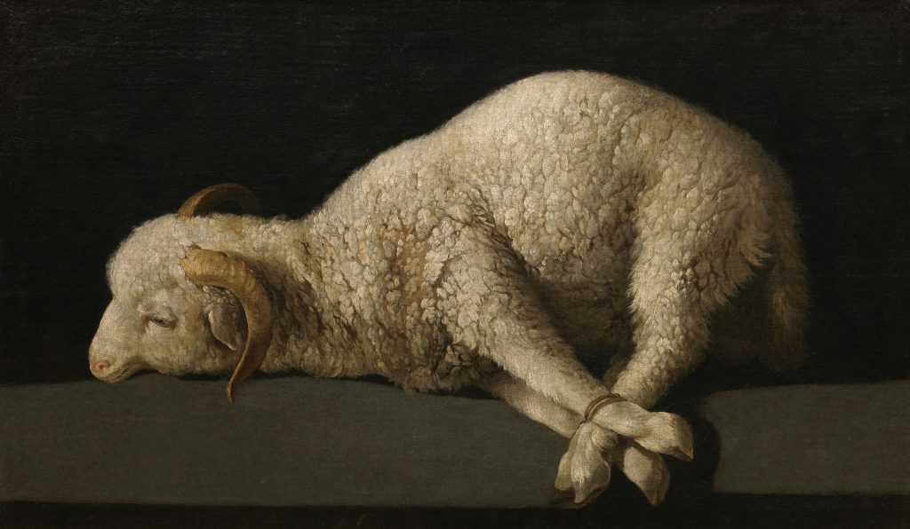 Francisco de Zurbaràn: «Lamm Gottes»; Agnus Dei, 1635–1640, Museo del Prado